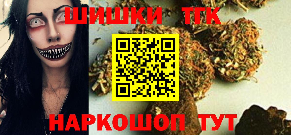 Конопля сатива Сунжа